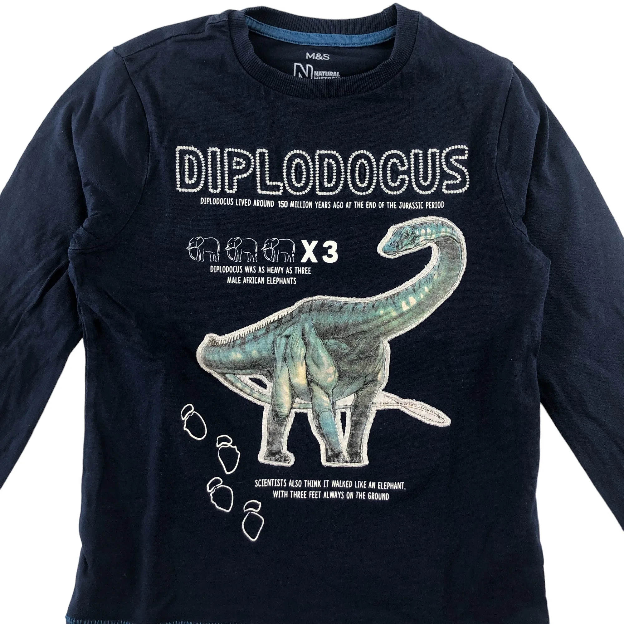 M&S t-shirt 5-6 years navy blue Diplodocus long sleeve cotton