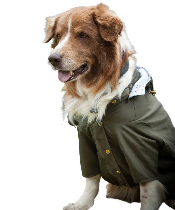 Military Green Raincoat